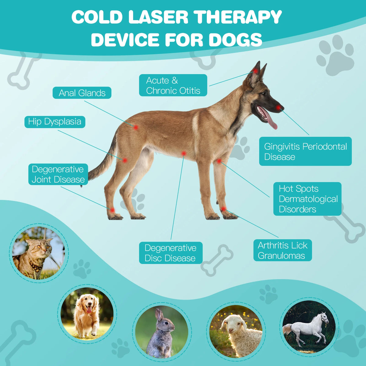 Red Light Therapy Device 18x620nm for Pet Body Pain Relief Veterinary Infrared Joint Muscle Rehabilitation Wand Home Arthritis Care